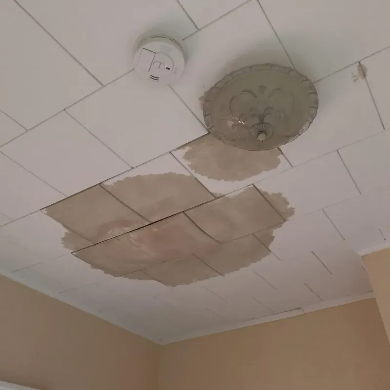 Ceiling Water Damage Repair in Vivian, LA