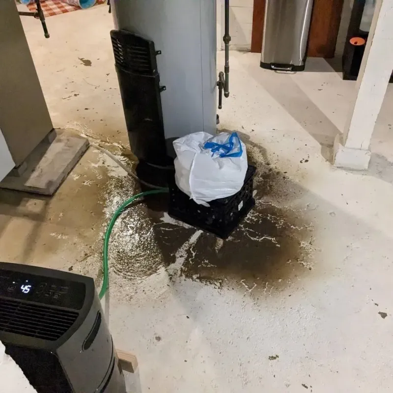 Sewage Backup Cleanup Service in Vivian, LA